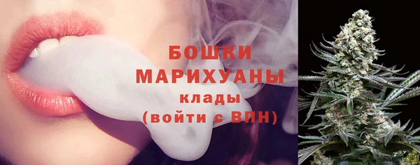 PSILOCYBIN Кулебаки