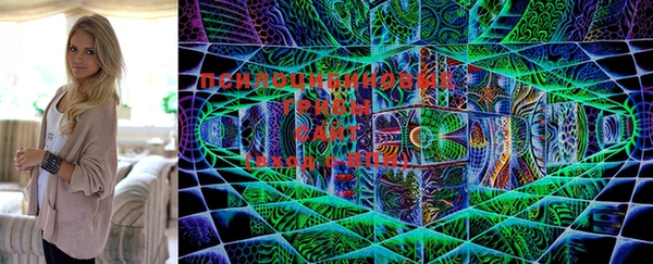 экстази Лабытнанги