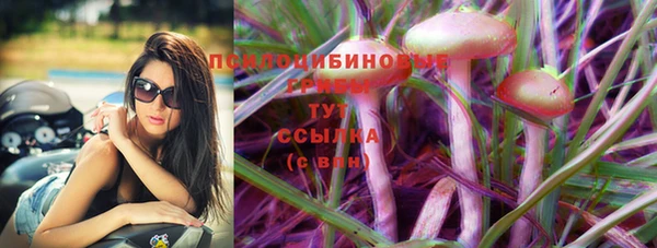 MDMA Premium VHQ Ладушкин