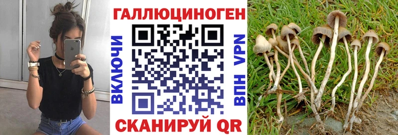 Псилоцибиновые грибы ЛСД  OMG ССЫЛКА  Голицыно 